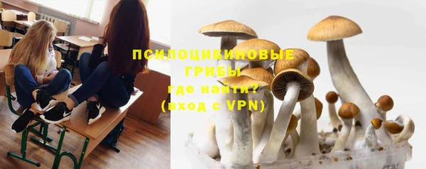 метадон Осташков