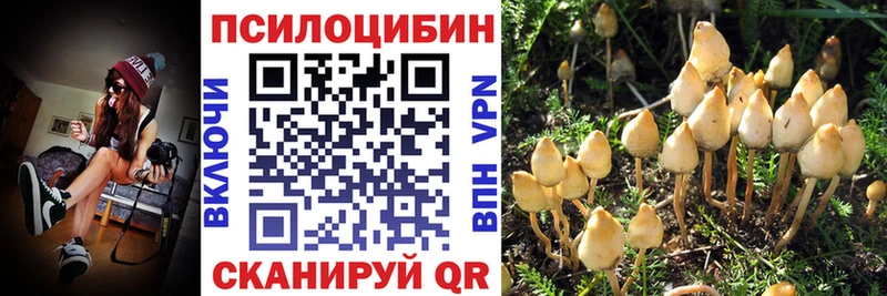 Галлюциногенные грибы мухоморы  где купить наркоту  Сольцы 